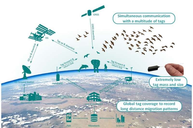 Icarus Antenna Successfully Delivered to ISS