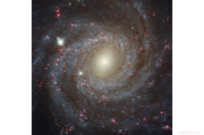 NGC 3344 – The Serene Spiral Galaxy