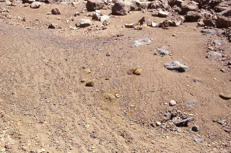 Opportunity Mars Rover Celebrates 5,000 Sols, Unveils New Surprises