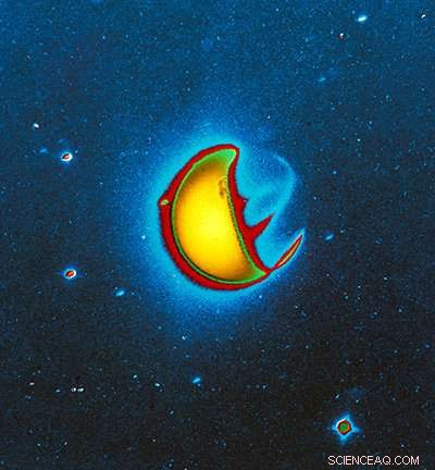 Charged Oxygen in Exoplanet Ionospheres: A New Biomarker for Life