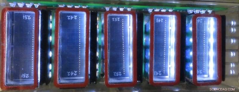 Simulating G-Force to Assess Mustard Seedlings  Gravity Perception