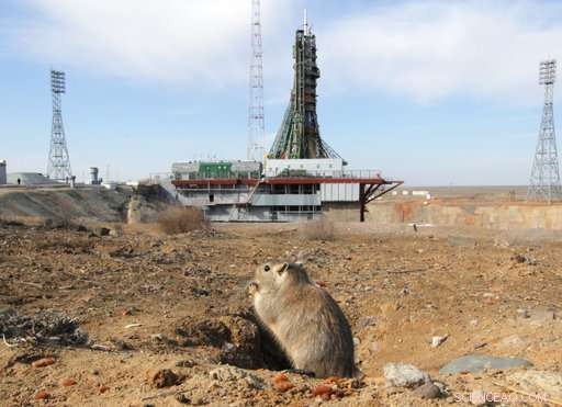 Three Astronauts Dock at the International Space Station: Two Americans and One Russian