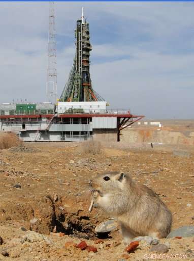 Three Astronauts Dock at the International Space Station: Two Americans and One Russian