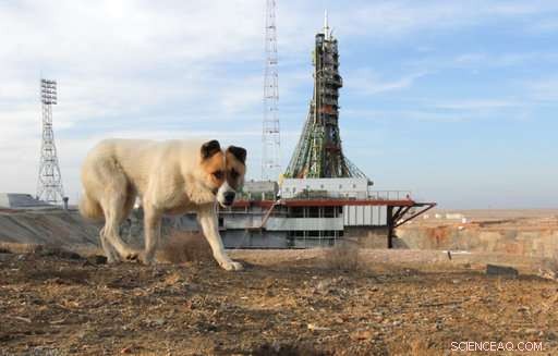 Three Astronauts Dock at the International Space Station: Two Americans and One Russian