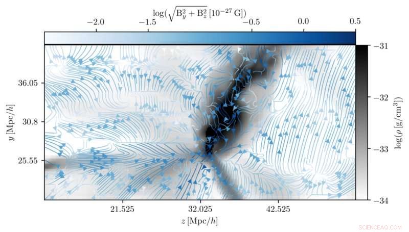 Scientists Reconstruct the Primordial Magnetic Field of the Local Cosmos