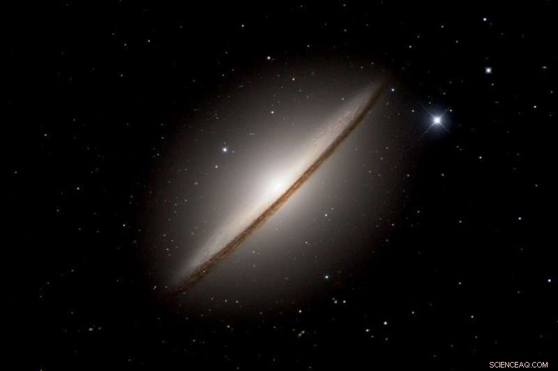 Unveiling the Remarkable Order of Cosmic Magnetic Fields