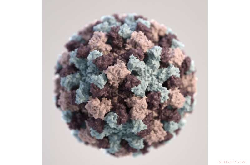 Viruses as the Next Frontier in Astrobiology