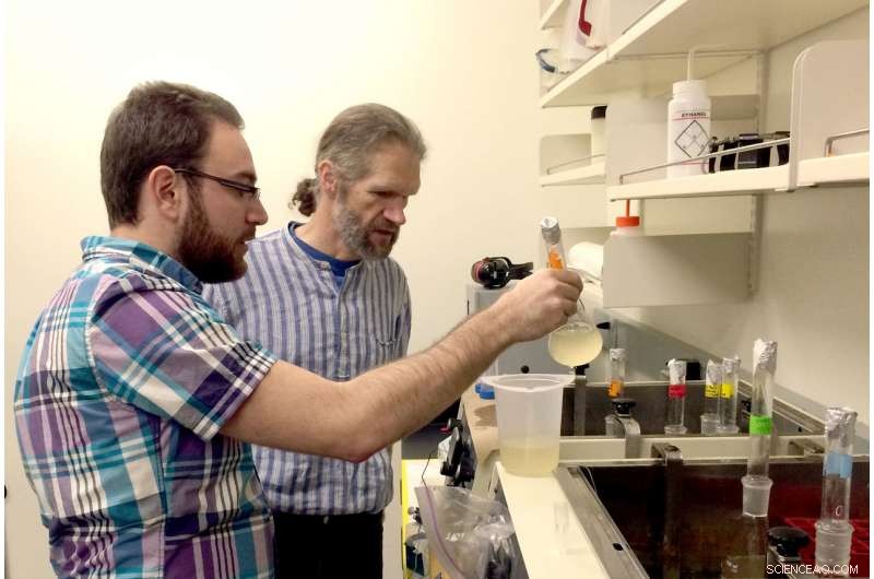 Viruses as the Next Frontier in Astrobiology