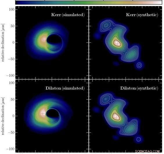 Assessing Gravitational Theories Through Black Hole Shadow Observations