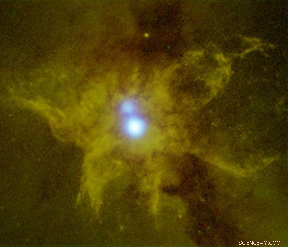 Black Hole & Stellar Winds Form Butterfly-Shaped Outflow, Stopping Star Formation in NGC 6240