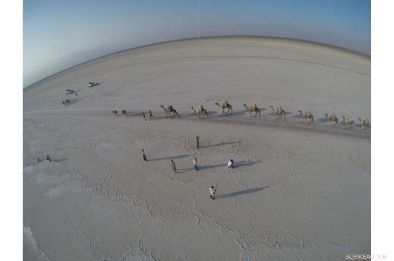 Danakil Depression: A Terrestrial Laboratory Illuminating Mars, Titan, and Nuclear Waste Challenges