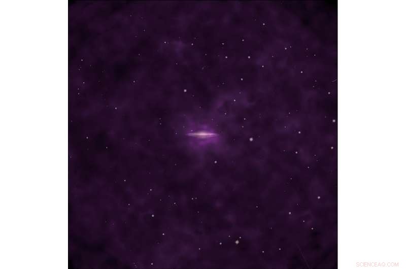 Where Is the Universe’s Missing Matter? New Insights from XMM-Newton Observations