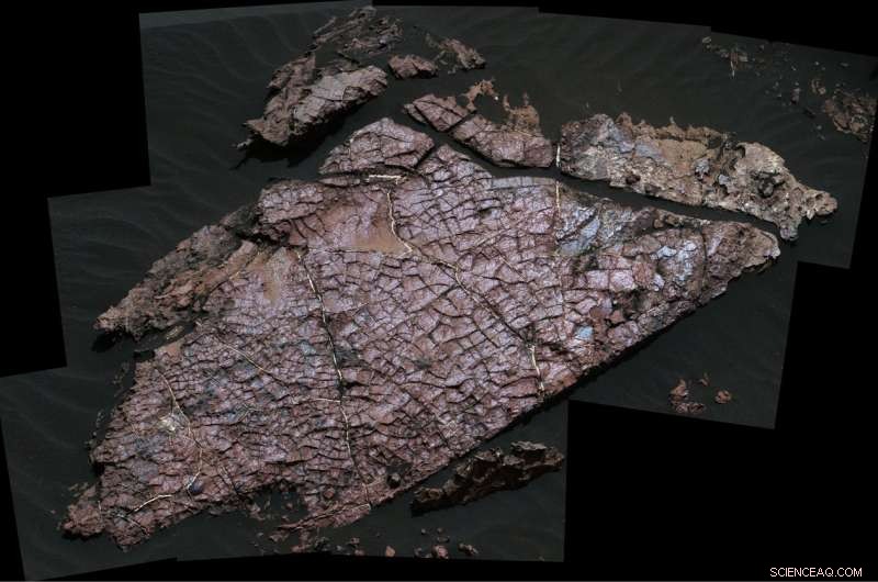 Unveiling Mars’ Hydrological Past: Desiccation Cracks Map Ancient Water Flow