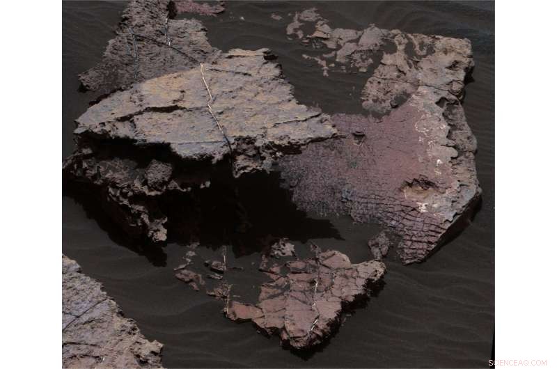Unveiling Mars’ Hydrological Past: Desiccation Cracks Map Ancient Water Flow