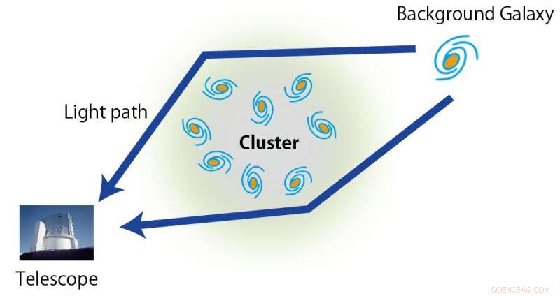 Decoding the Hidden Laws Governing Galaxy Cluster Evolution