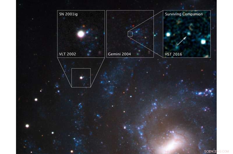 Surviving Companion of Supernova 2001ig: The Stellar Thief Unveiled