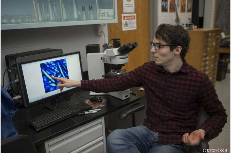 Exploring Mars Biosignatures: How Yellowstone’s Silica Deposits Inform NASA’s Search