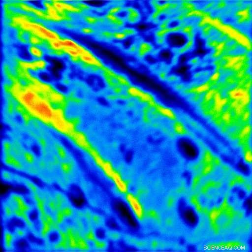 Exploring Mars Biosignatures: How Yellowstone’s Silica Deposits Inform NASA’s Search