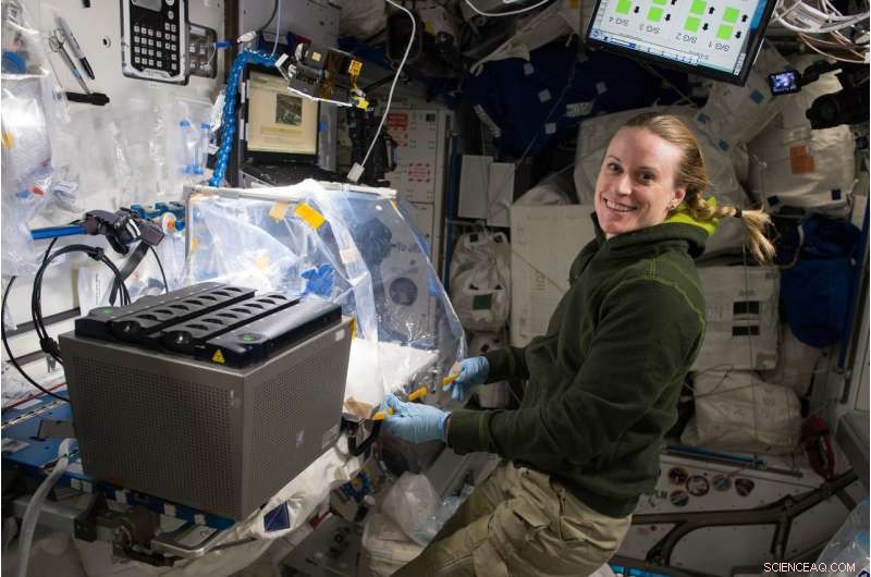 Exploring DNA in Space: Cutting‑Edge Research on the International Space Station