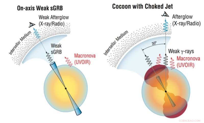 Ebbing Gravitational Wave Signals from a Spectacular Neutron Star Merger