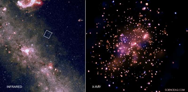 X-ray Imaging Reveals the Stellar Family Portrait of Trumpler 15
