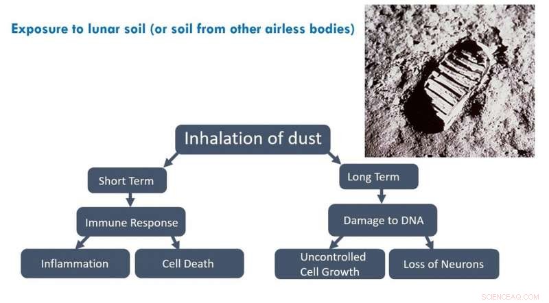 Inhalation of Lunar Dust Poses Serious Health Risks for Future Astronauts