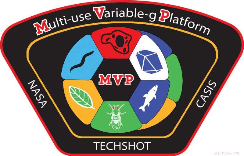 Variable‑g Platform Launches to ISS, Expanding Microgravity Research