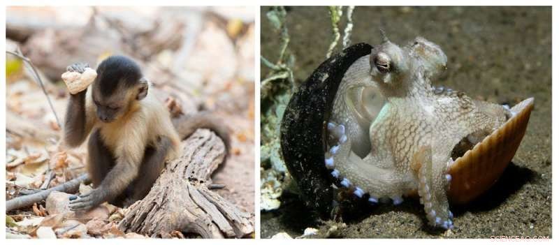 How Artificial Intelligence is Advancing the Search for Alien Intelligence