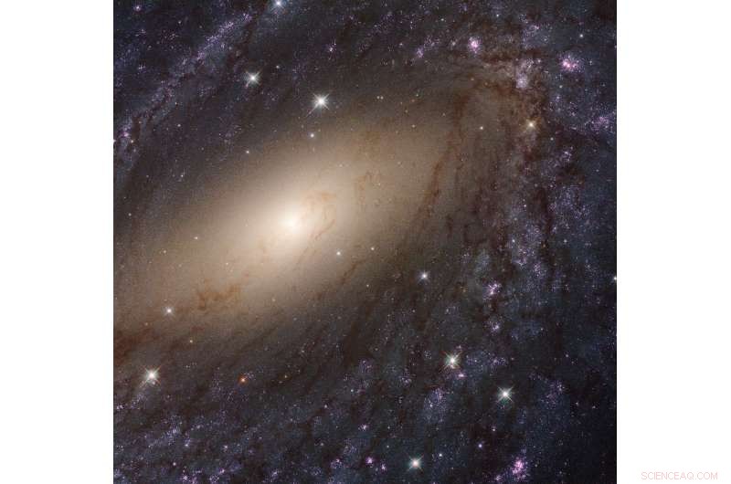 Astronomers Unveil Comprehensive Ultraviolet Survey of Nearby Galaxies
