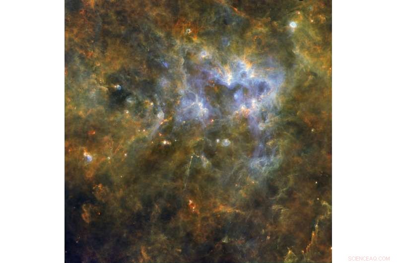 Unveiling Hidden Secrets of a Massive Star-Forming Region