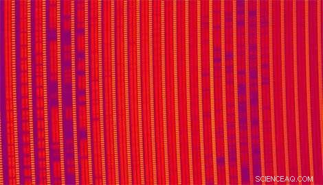 SPIRou Achieves First Light: A New Era in Exoplanet Detection