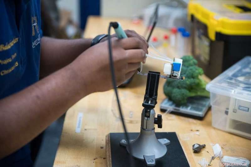 Growing Broccoli in Space: Probiotics May Enhance Microgravity Crop Yields