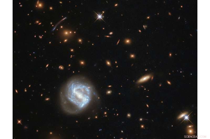 Hubble Captures a Stunning Cornucopia of a Galaxy Cluster
