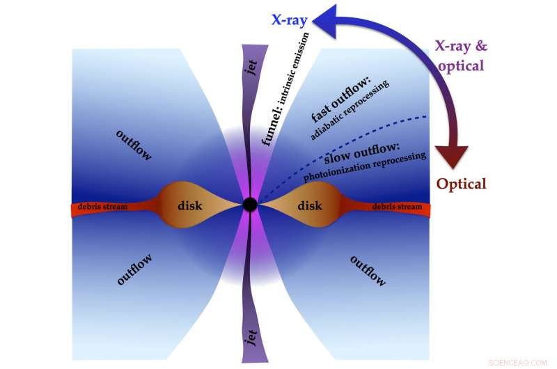 New Model Illuminates the Process of Stellar Consumption by Massive Black Holes