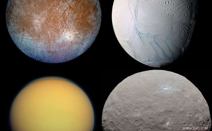 Could Icy Worlds Harbor Life? Examining the Chemical Foundations