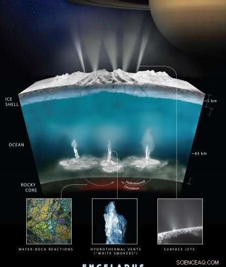 Could Icy Worlds Harbor Life? Examining the Chemical Foundations