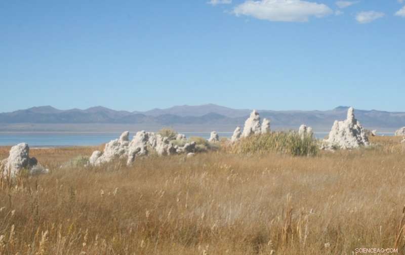 New Mars Findings: Organic Matter in Rock Chimneys May Unlock Life‑Searching Clues