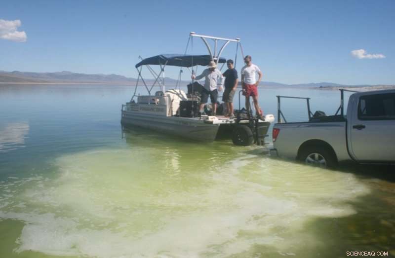 New Mars Findings: Organic Matter in Rock Chimneys May Unlock Life‑Searching Clues