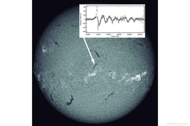 Solar Prominence Oscillations: 200 Cataloged Events Reveal New Dynamics
