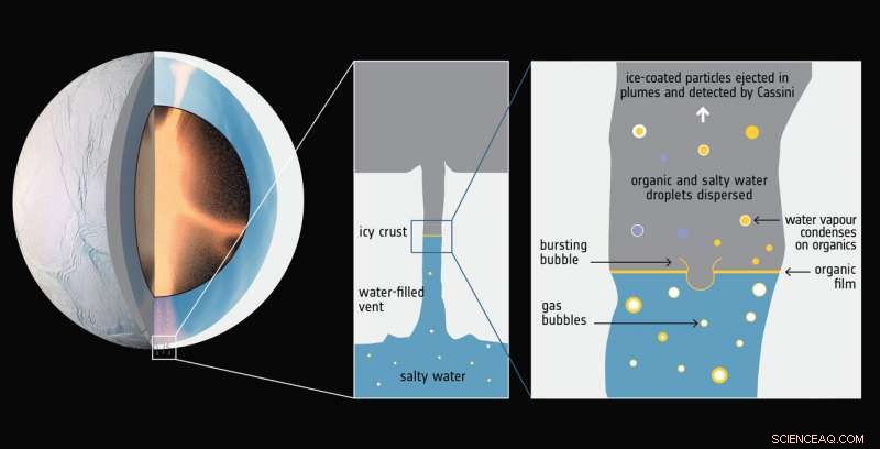 Cassini Discovers Complex Organic Molecules in Enceladus’ Subsurface Ocean