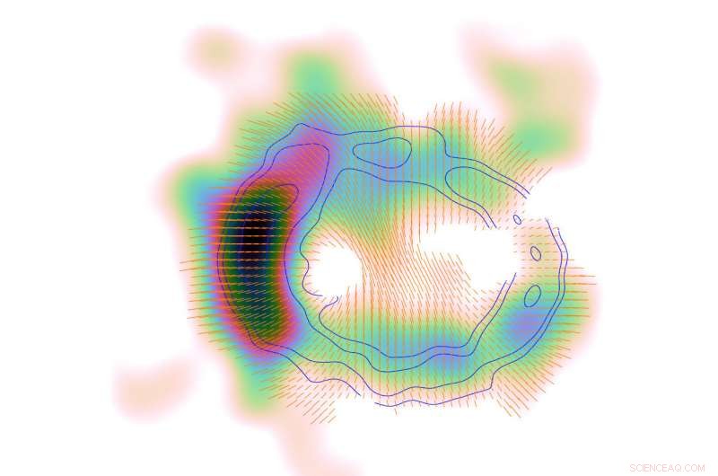 Scientists Map Magnetic Field in Supernova 1987A Remnant
