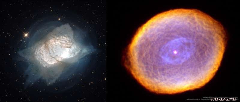 Tellurium Detected in Its Stellar Birthplace: Insights from Planetary Nebula Observations