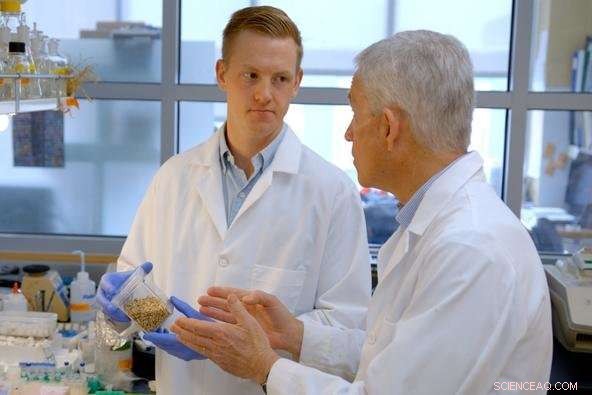 Space-Bound Plants: Pioneering New Frontiers in Medicinal Research