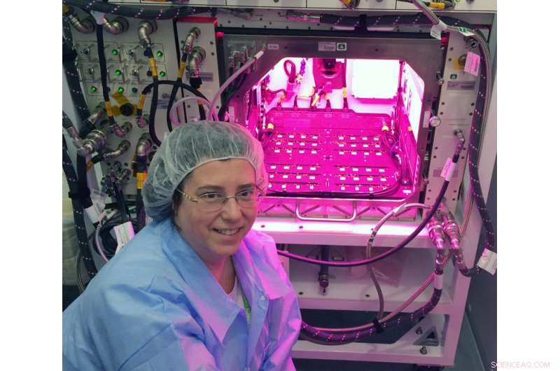 Space Agriculture Demystified: How Gravity Shapes Plant Growth