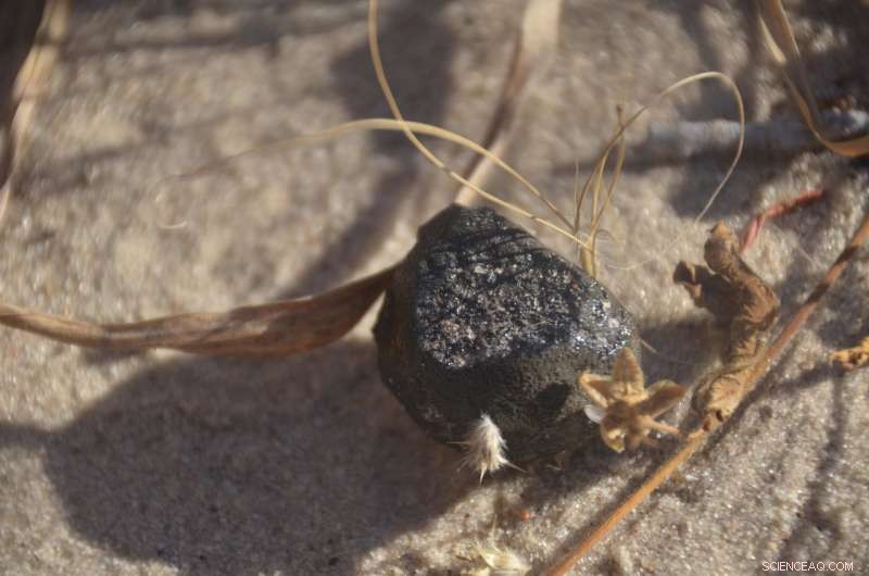 Scientists Recover Rare Asteroid Piece in Botswana s Central Kalahari