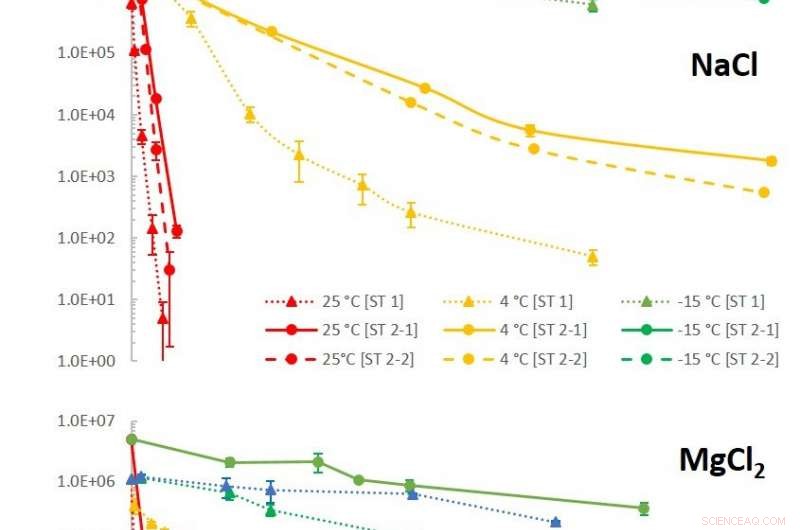 Bacteria Thrive in Salty Antifreeze, Hinting at Life on Mars and Icy Moons