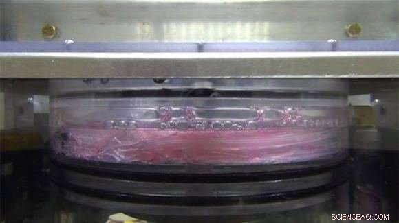 NASA Innovates Solutions to Tackle Trash in Deep Space Missions