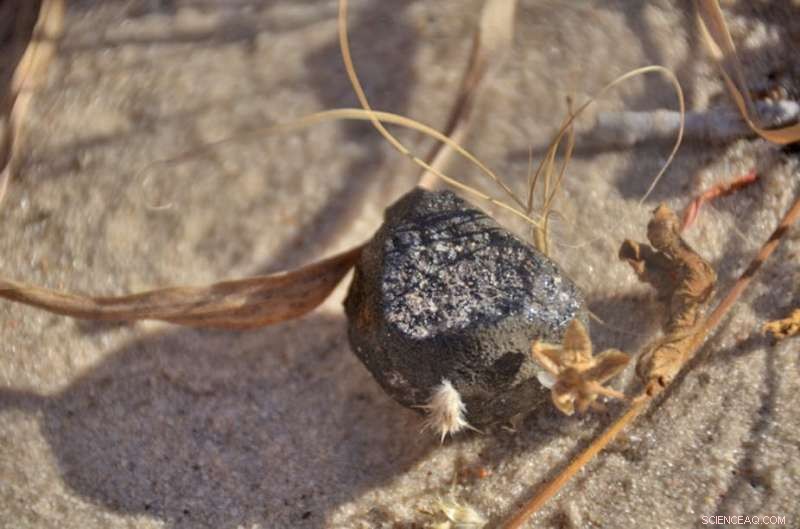 Botswana Meteorite Recovery Unveils New Insights into Space Origins