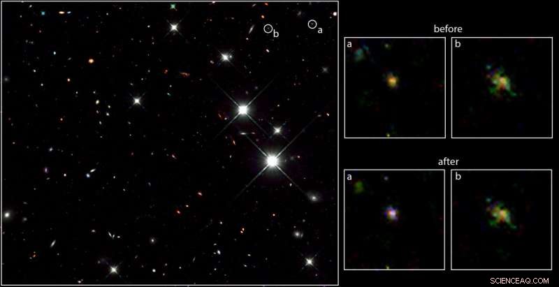 Are Ultra-Bright Early Galaxies Truly Rare? New Findings Challenge Prevalence Assumptions