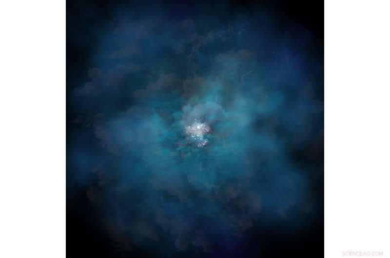 How a Young Galaxy’s Halo Reveals Its Growth and Evolution